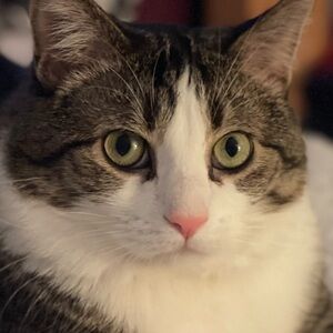 Meet your Posher, Kim